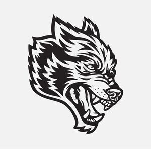 2 Darc Sport Decal Stickers